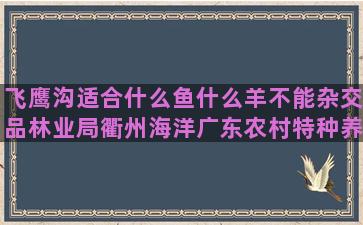 飞鹰沟适合什么鱼什么羊不能杂交品林业局衢州海洋广东农村特种养殖项目 收购商